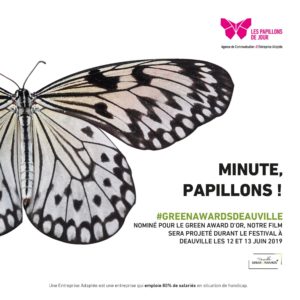 Minute, Papillons !Les Papillons de Jour