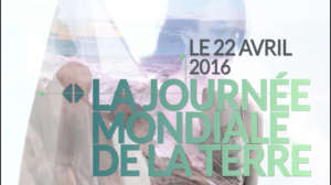 Les Papillons de Jour