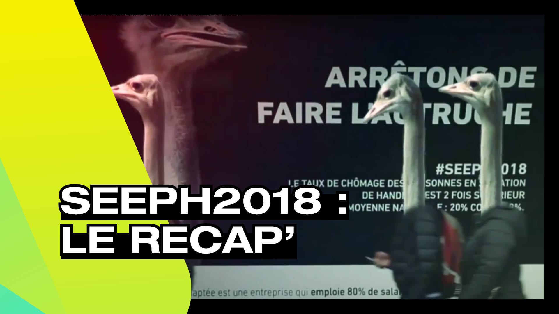 SEEPH 2018 - Le recap'